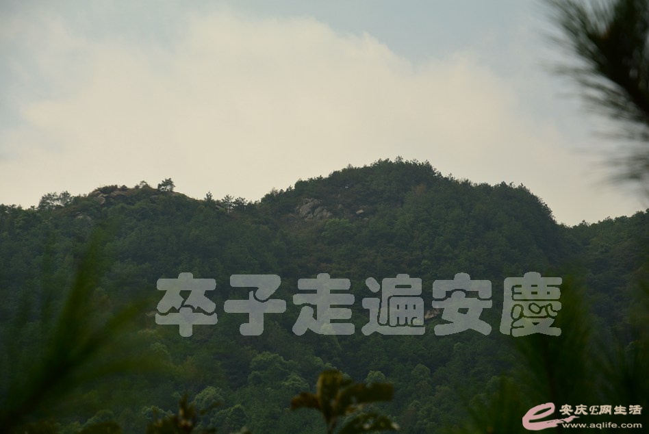 20161002 156.jpg