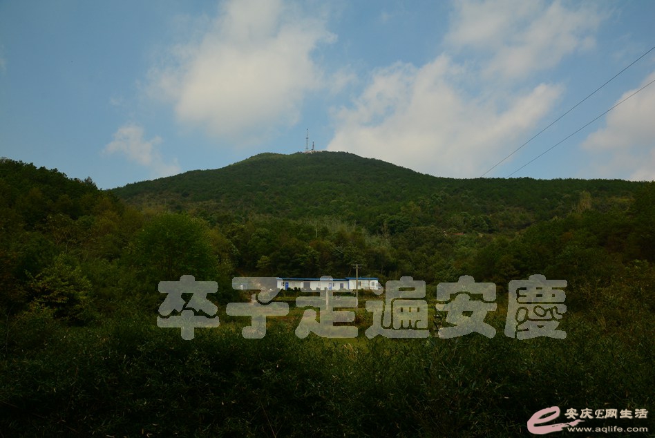 20161002 164.jpg