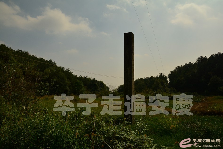 20161002 199.jpg