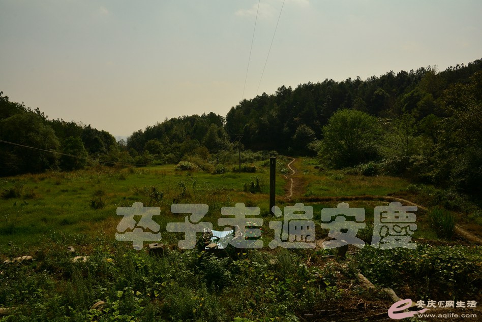20161002 205.jpg