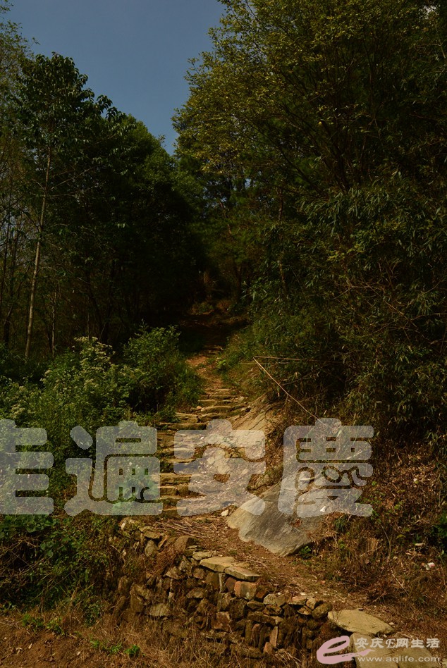 20161002 203.jpg