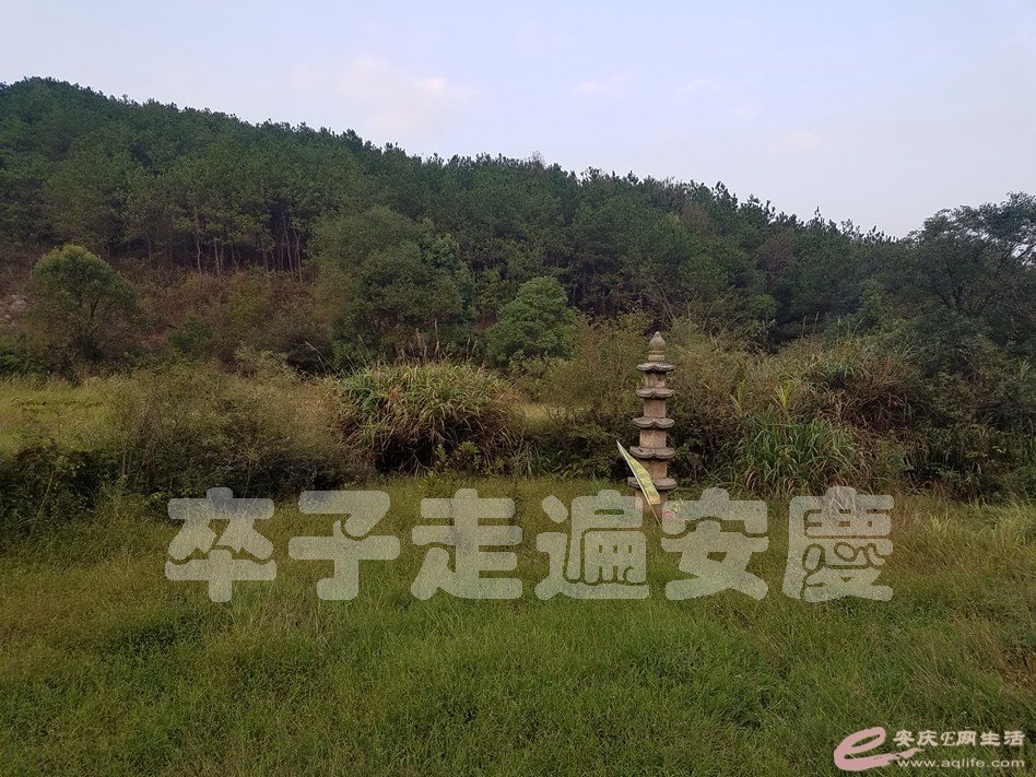 20161002 206.jpg