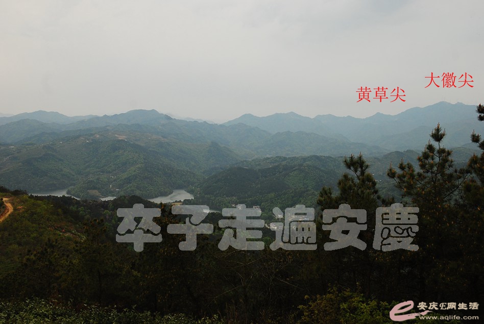 DSC_9024.jpg