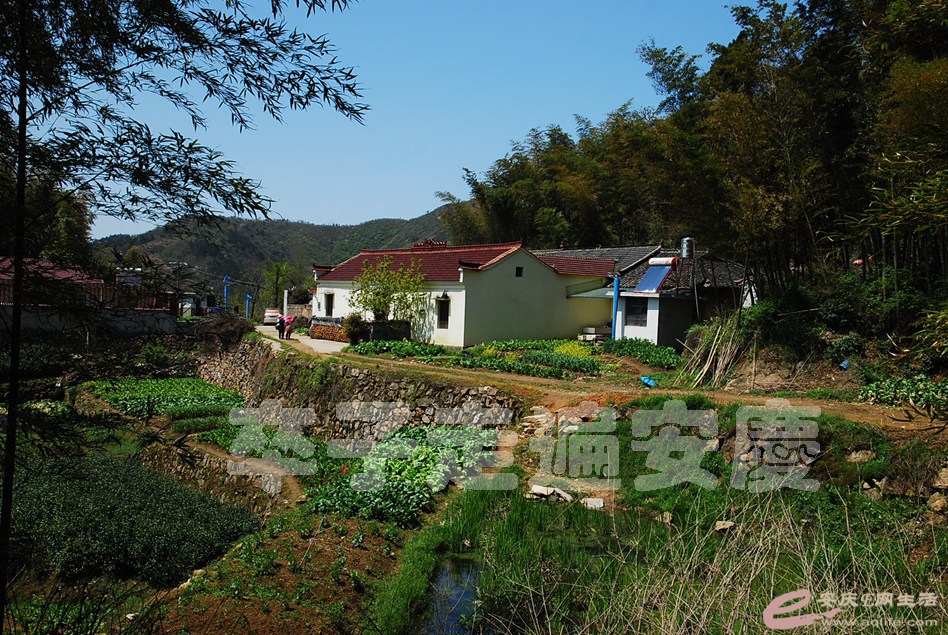 DSC_9027.jpg