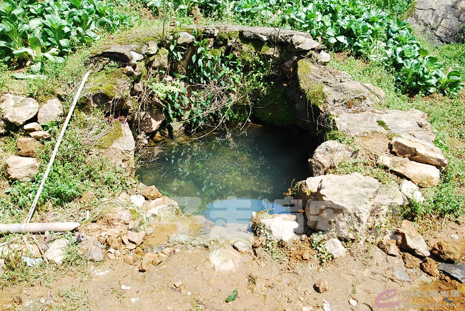 DSC_9104.jpg