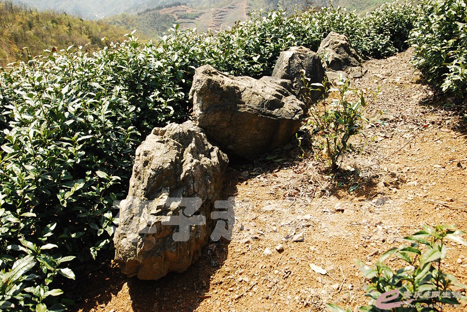 DSC_9170.jpg