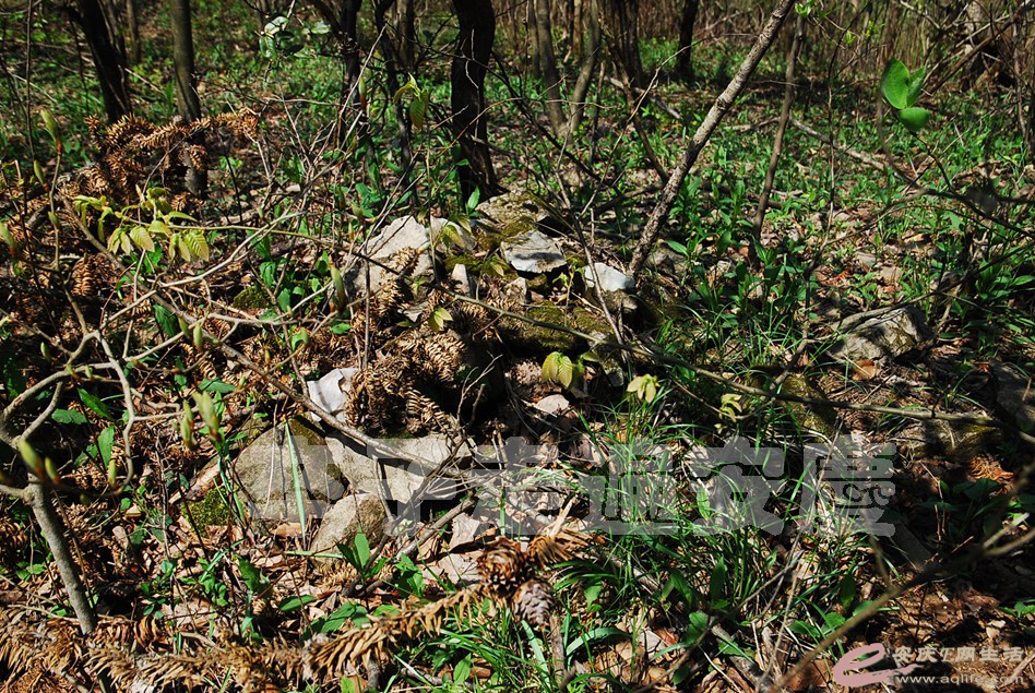 DSC_9181.jpg