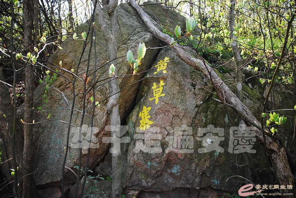 DSC_9208.jpg