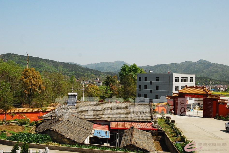 DSC_9005.jpg