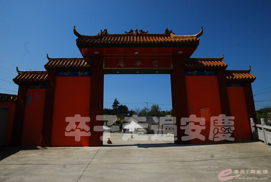 DSC_9015.jpg