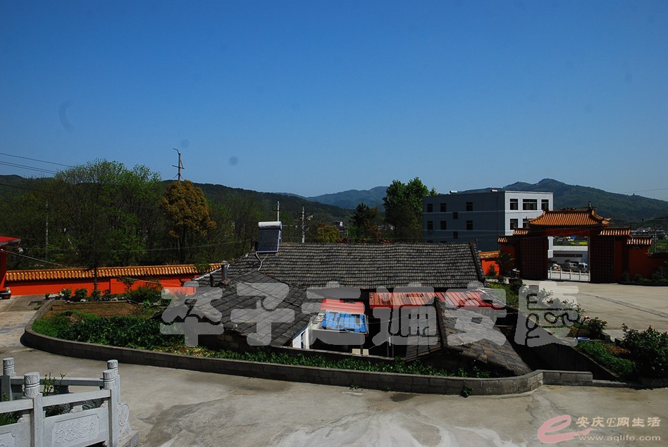 DSC_9018.jpg