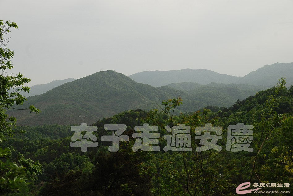 DSC_9528.jpg