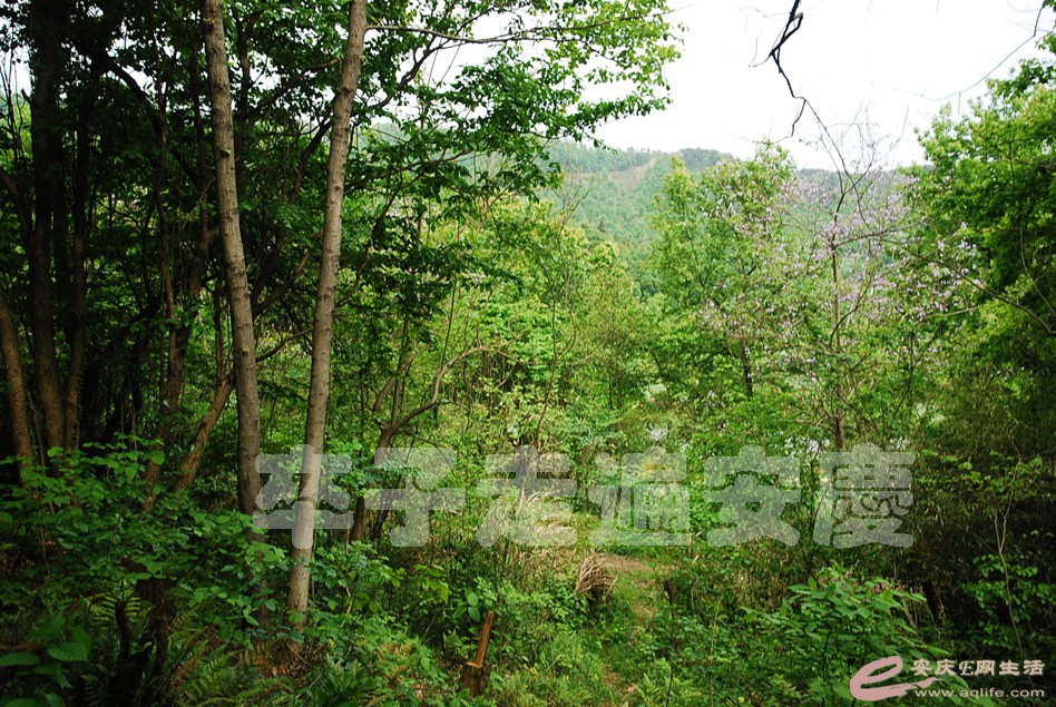 DSC_9566.jpg