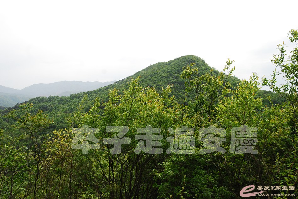 DSC_9571.jpg