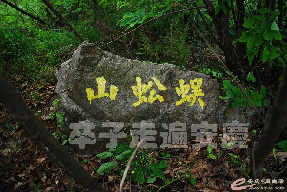 DSC_9576.jpg