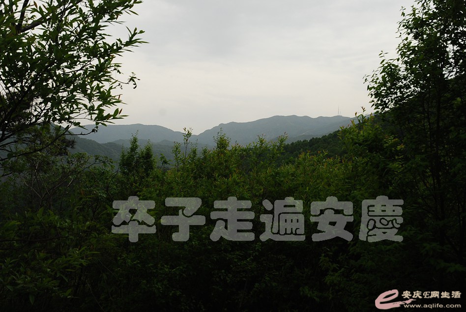 DSC_9582.jpg