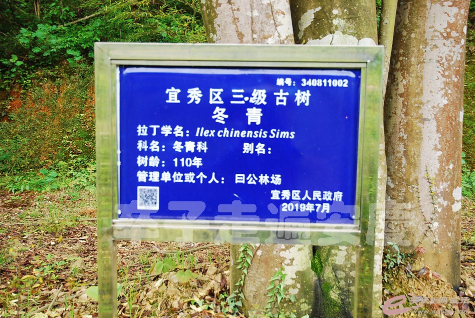 DSC_9661.jpg