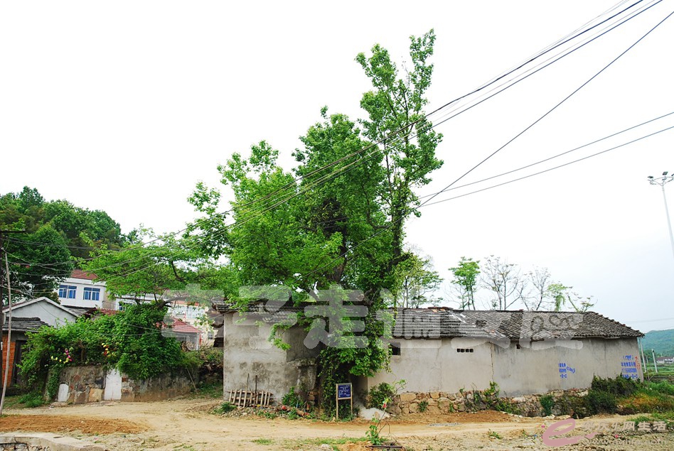 DSC_9714.jpg