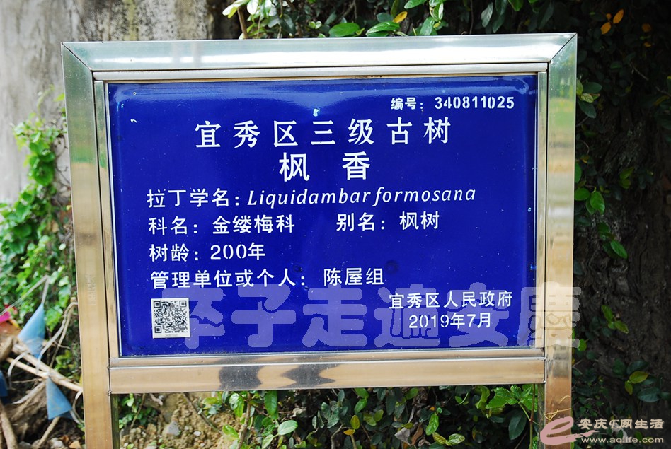 DSC_9722.jpg