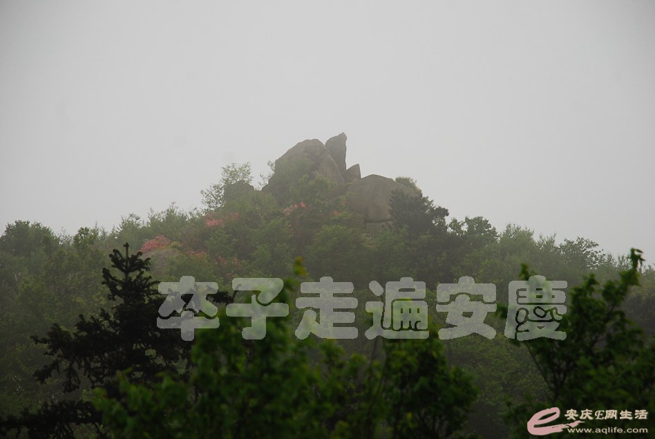 DSC_9794.jpg
