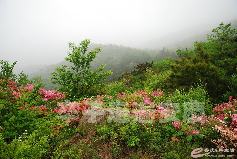 DSC_9824.jpg
