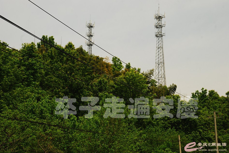 DSC_0091.jpg
