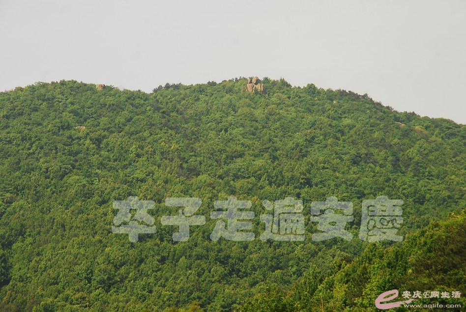 DSC_0052.jpg