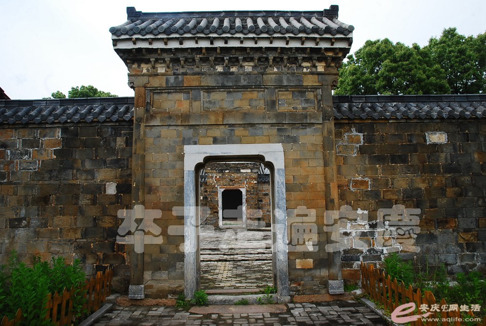 DSC_0169.jpg