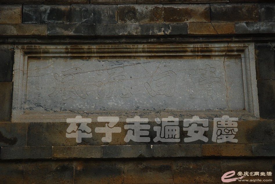 DSC_0175.jpg