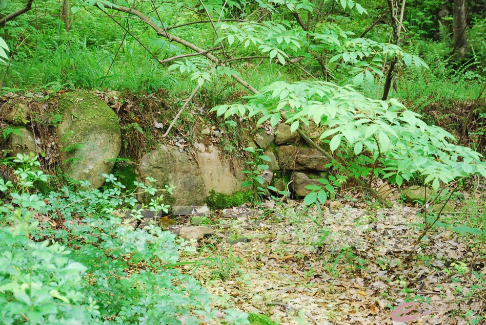 DSC_9592.jpg