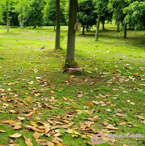 ҵС3.jpg