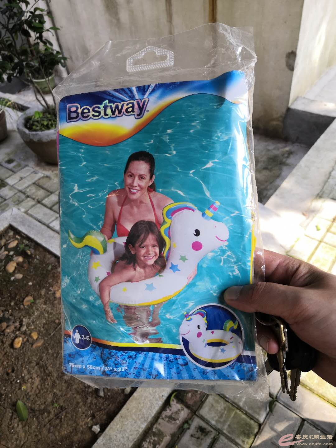 1724204311.jpg