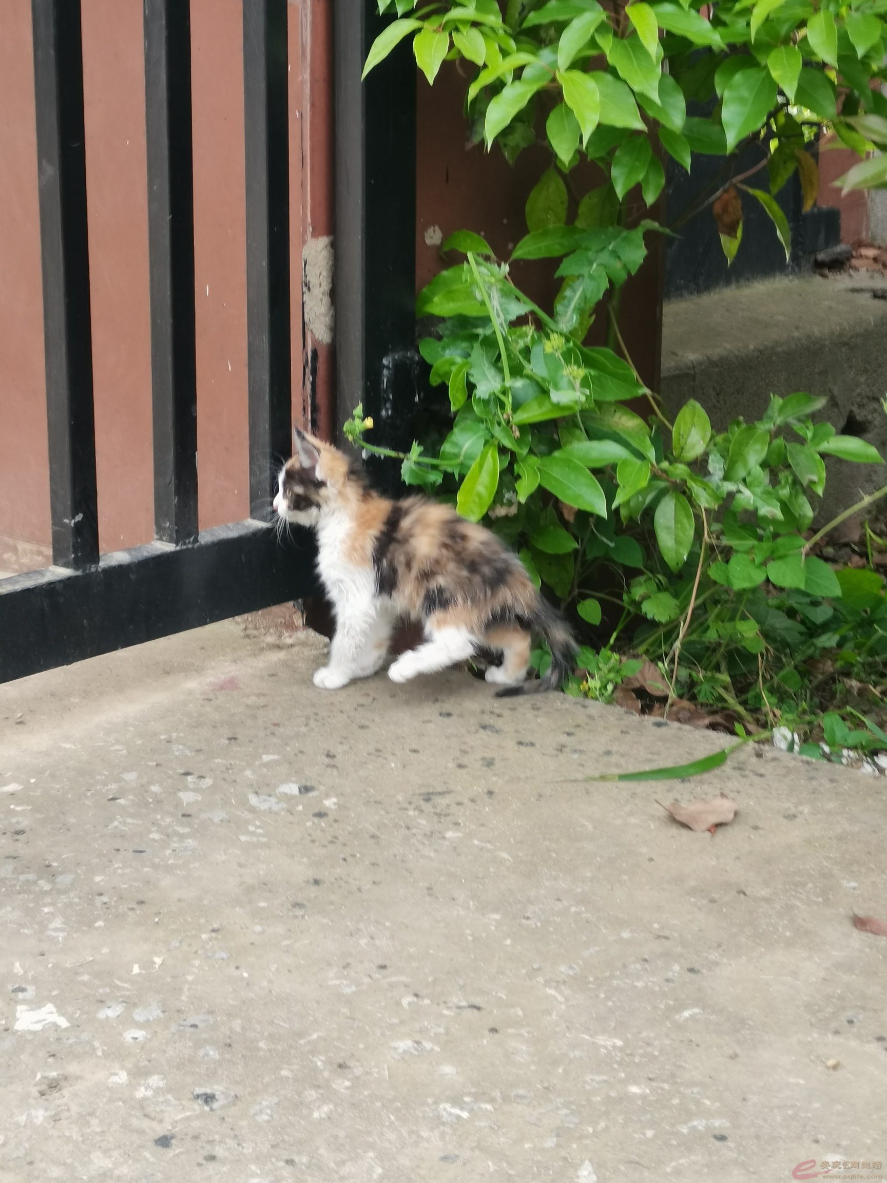 1620651844082479.jpeg