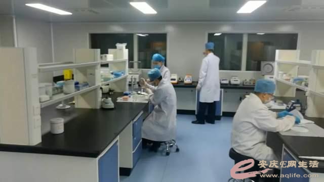 b90e7bec54e736d1cfed1c8e1bf833cad76269ef.jpg
