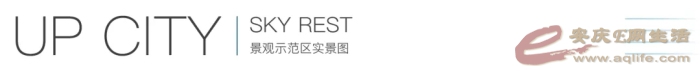 10.webp.jpg