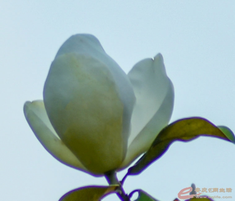 DSC_3975.jpg