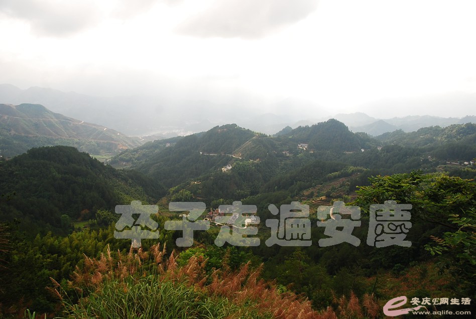 DSC_4902.jpg