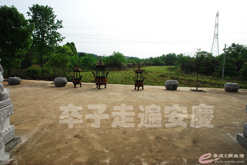 DSC_0210.jpg