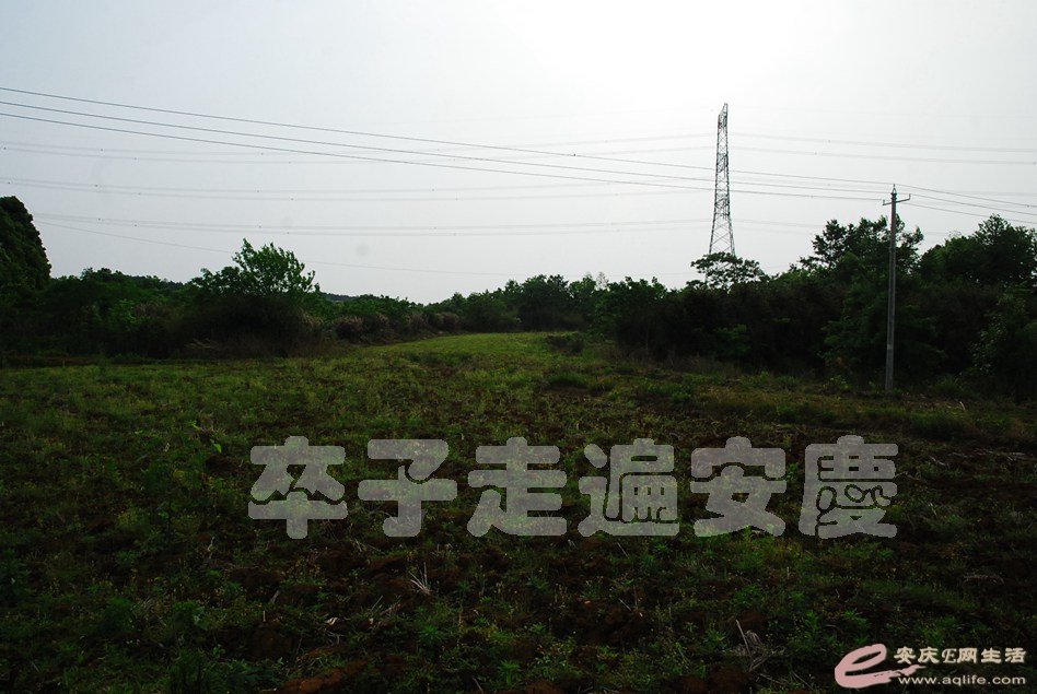 DSC_0226.jpg