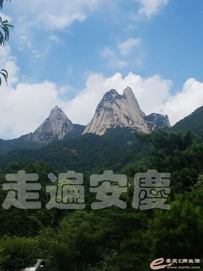 20190803_145251.jpg