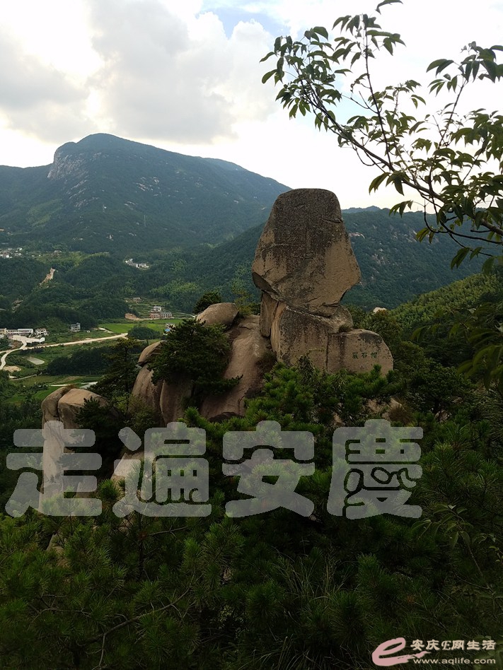 20190803_181602.jpg