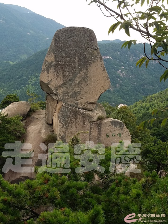 20190803_181605.jpg