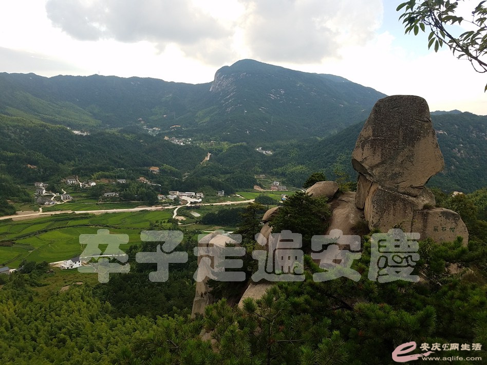 20190803_181610.jpg