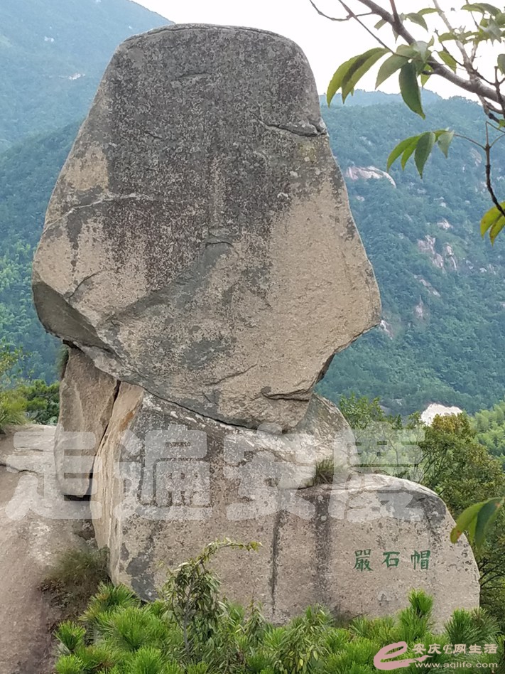 20190803_181616.jpg