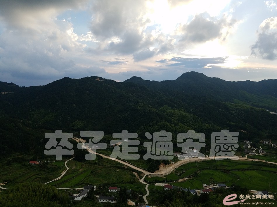 20190803_181633.jpg