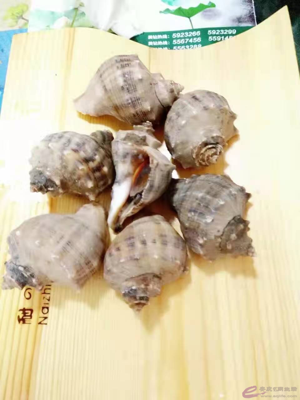 ΢ͼƬ_2021042812375332.jpg