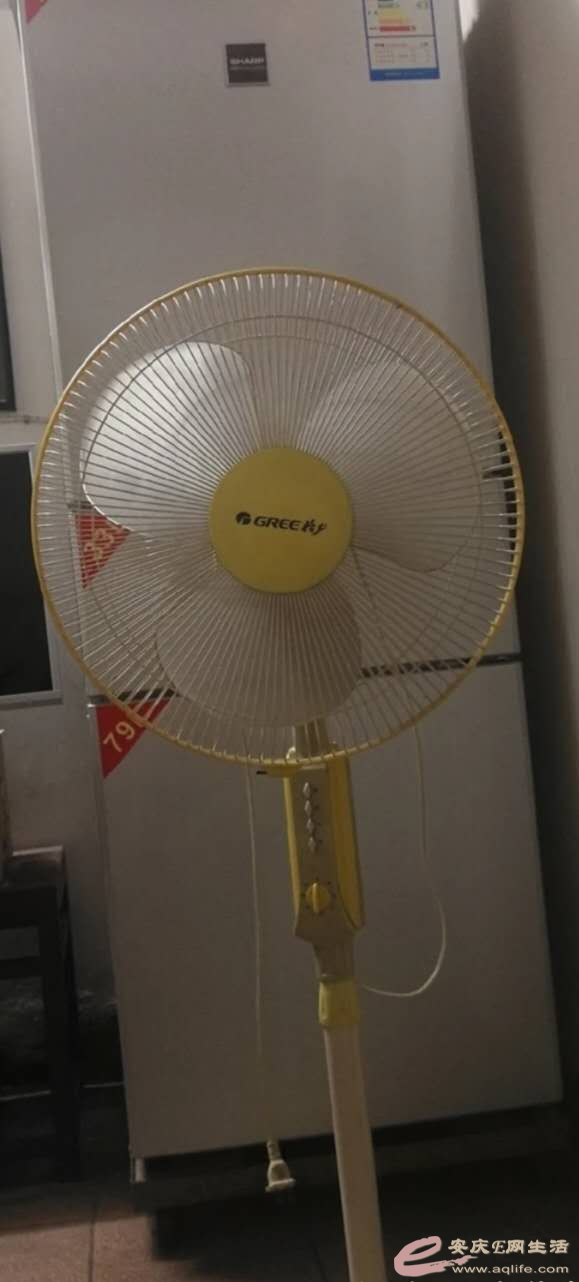 1724218331.jpg