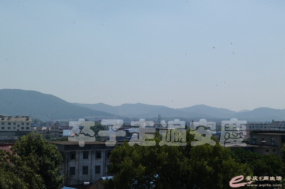 DSC_0005.jpg
