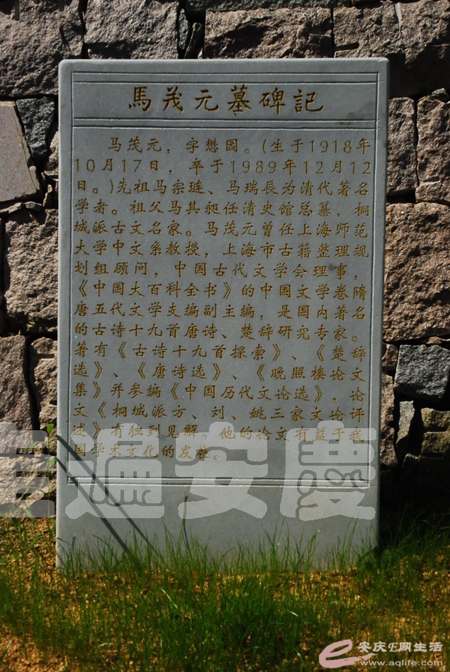 DSC_0534.jpg