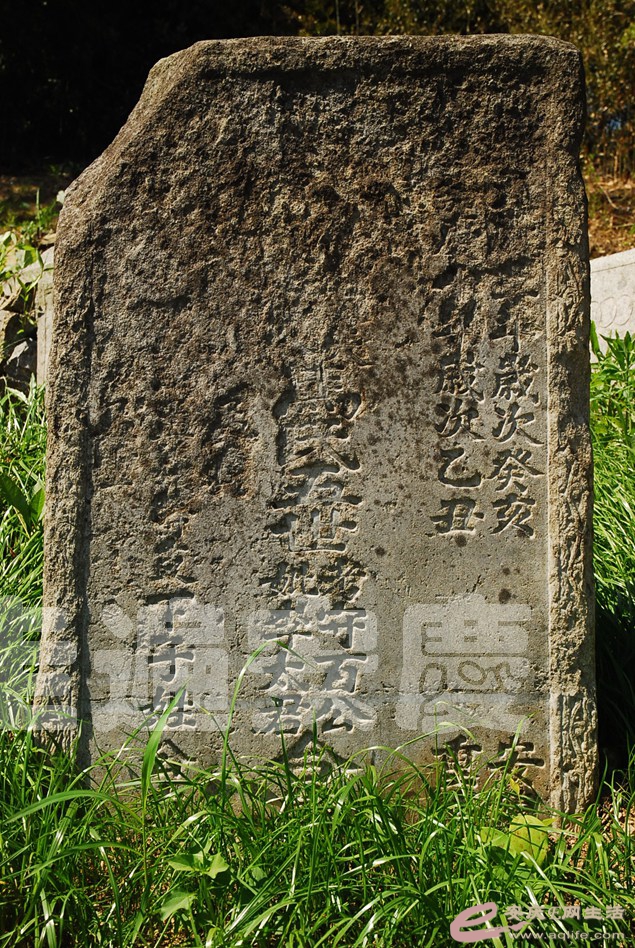 DSC_0537.jpg